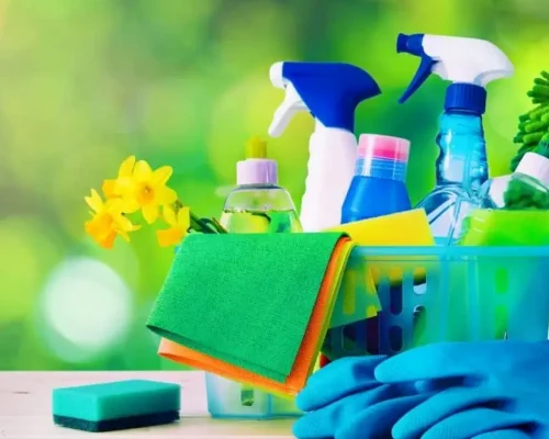Eco Friendly Cleaning Services