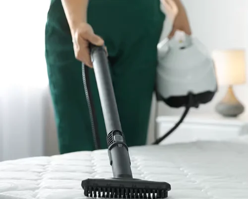 The Ultimate Guide to Allergy Friendly Cleaning